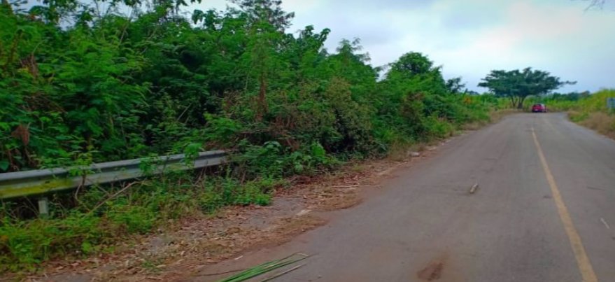 ขายที่ดิน-350-ตรว-ราคา-190000บาท