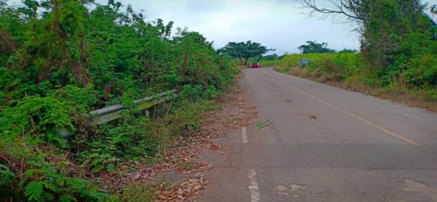 ขายที่ดิน-350-ตรว-ราคา-190000บาท