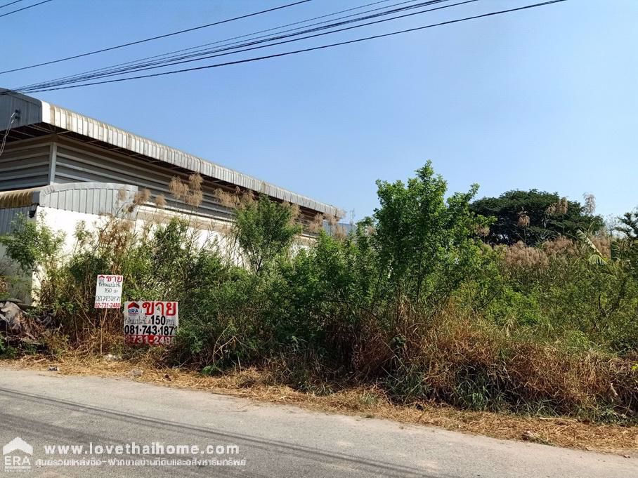 ขายที่ดิน-บางบัวทอง-ลำโพ-ซอยกำนัน-ใกล้โรงเรียนเจริญรัฐอุปถัมภ์-หลังที่ว่าการอำเภอบางบัวทอง