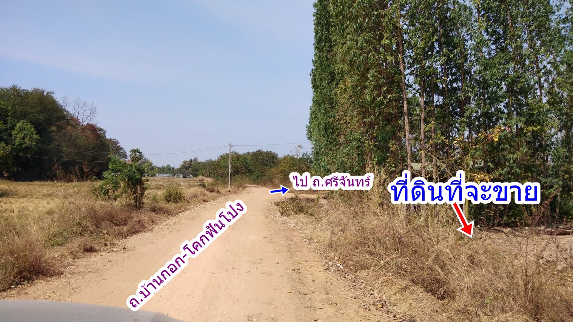 ห้นายหน้า3-สด-ผ่อนกับเจ้าของ-ที่ดิน-180-ตรว-ข้าง-มสีวลี-บึงหนองโคตร-อเมือง-ขอนแ