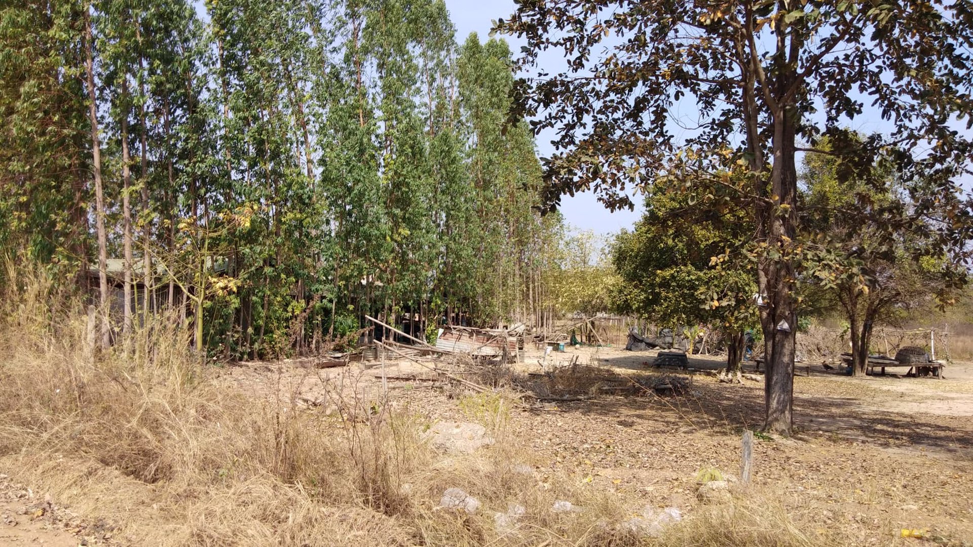 ห้นายหน้า3-สด-ผ่อนกับเจ้าของ-ที่ดิน-180-ตรว-ข้าง-มสีวลี-บึงหนองโคตร-อเมือง-ขอนแ