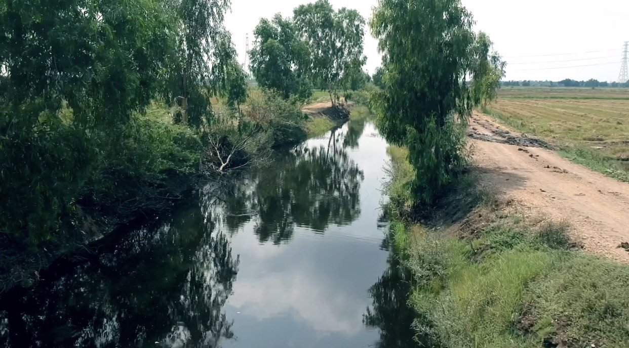 ขายที่ดินราคาถูก-อยุธยา-อเสนา