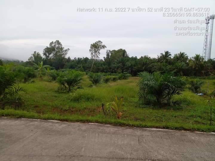 ขายจร้า-ที่ดินตรงข้ามรีสอร์ทภูธารเลิฟอิน