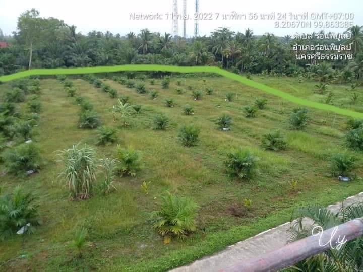 ขายจร้า-ที่ดินตรงข้ามรีสอร์ทภูธารเลิฟอิน
