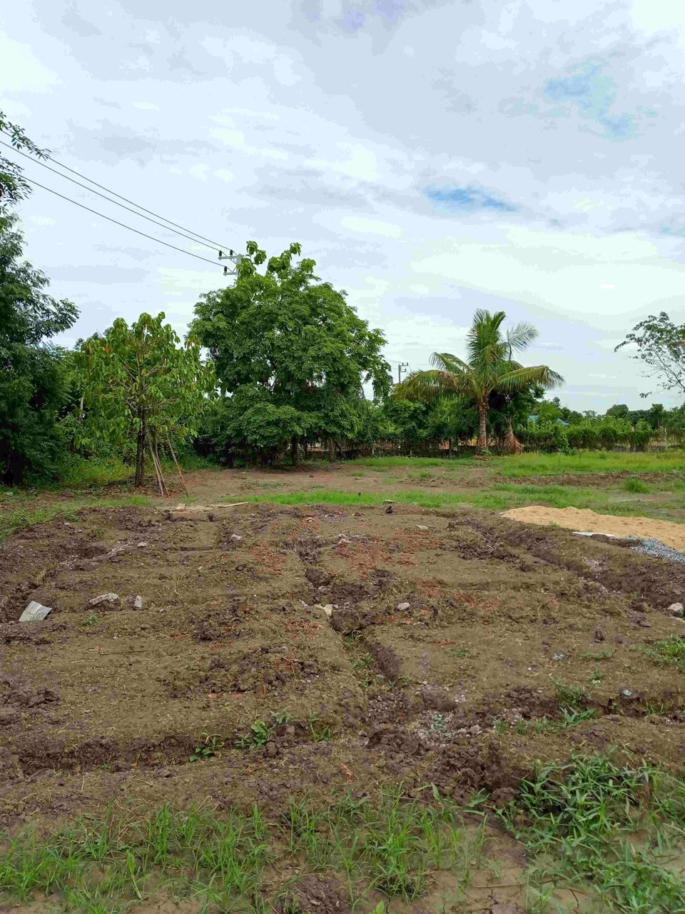 ขายด่วน-ที่ดินถมแล้ว-1-ไร่-2-งาน-แบ่งได้-ทำเลดีติดถนน-นํ้าไม่ท่วม