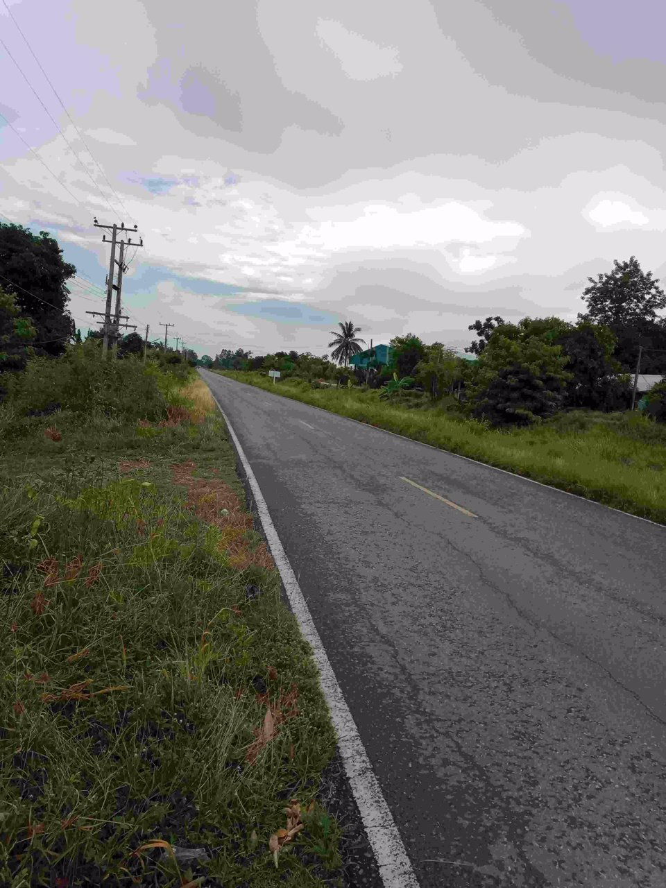 ขายด่วน-ที่ดินถมแล้ว-1-ไร่-2-งาน-แบ่งได้-ทำเลดีติดถนน-นํ้าไม่ท่วม