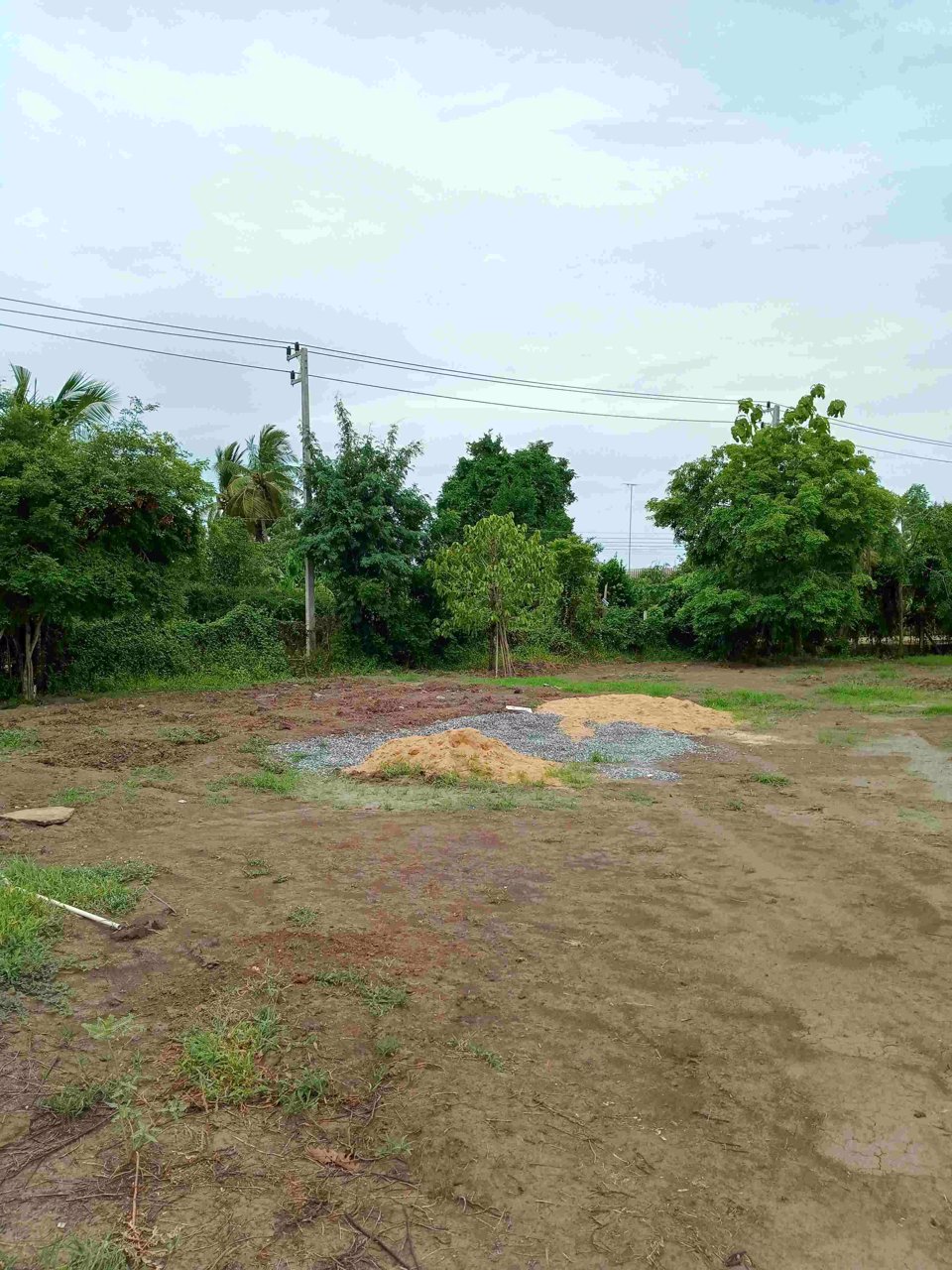 ขายด่วน-ที่ดินถมแล้ว-1-ไร่-2-งาน-แบ่งได้-ทำเลดีติดถนน-นํ้าไม่ท่วม
