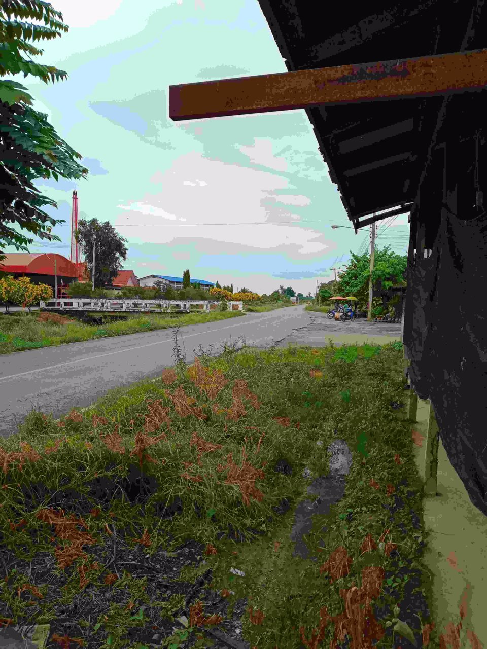 ขายด่วน-ที่ดินถมแล้ว-1-ไร่-2-งาน-แบ่งได้-ทำเลดีติดถนน-นํ้าไม่ท่วม