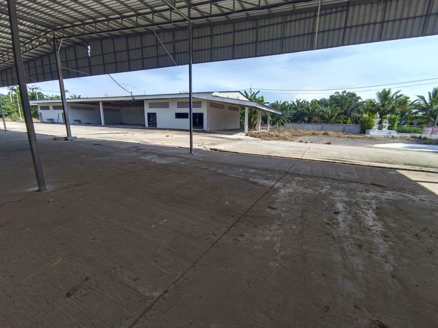 ให้เช่าโกดัง-โรงงาน-ในจังหวัดสุราษฎร์ธานี-บนเนื้อที่-20-ไร่-มีโฉนด-ใกล้-อบตศรีวิชัย