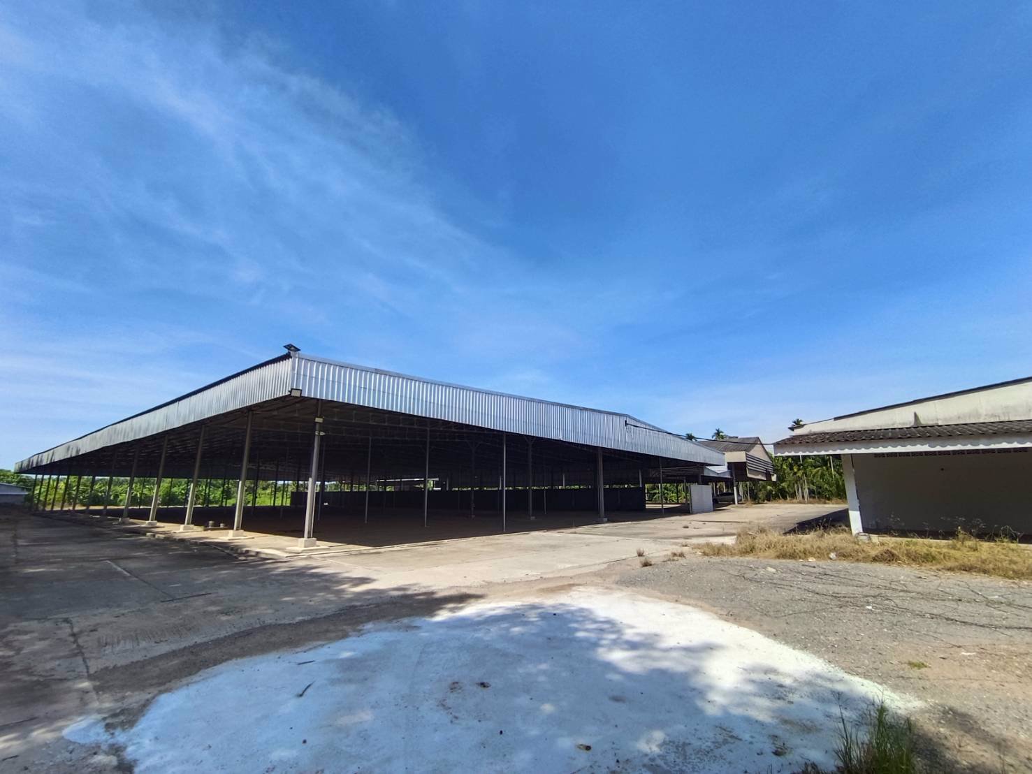 ให้เช่าโกดัง-โรงงาน-ในจังหวัดสุราษฎร์ธานี-บนเนื้อที่-20-ไร่-มีโฉนด-ใกล้-อบตศรีวิชัย