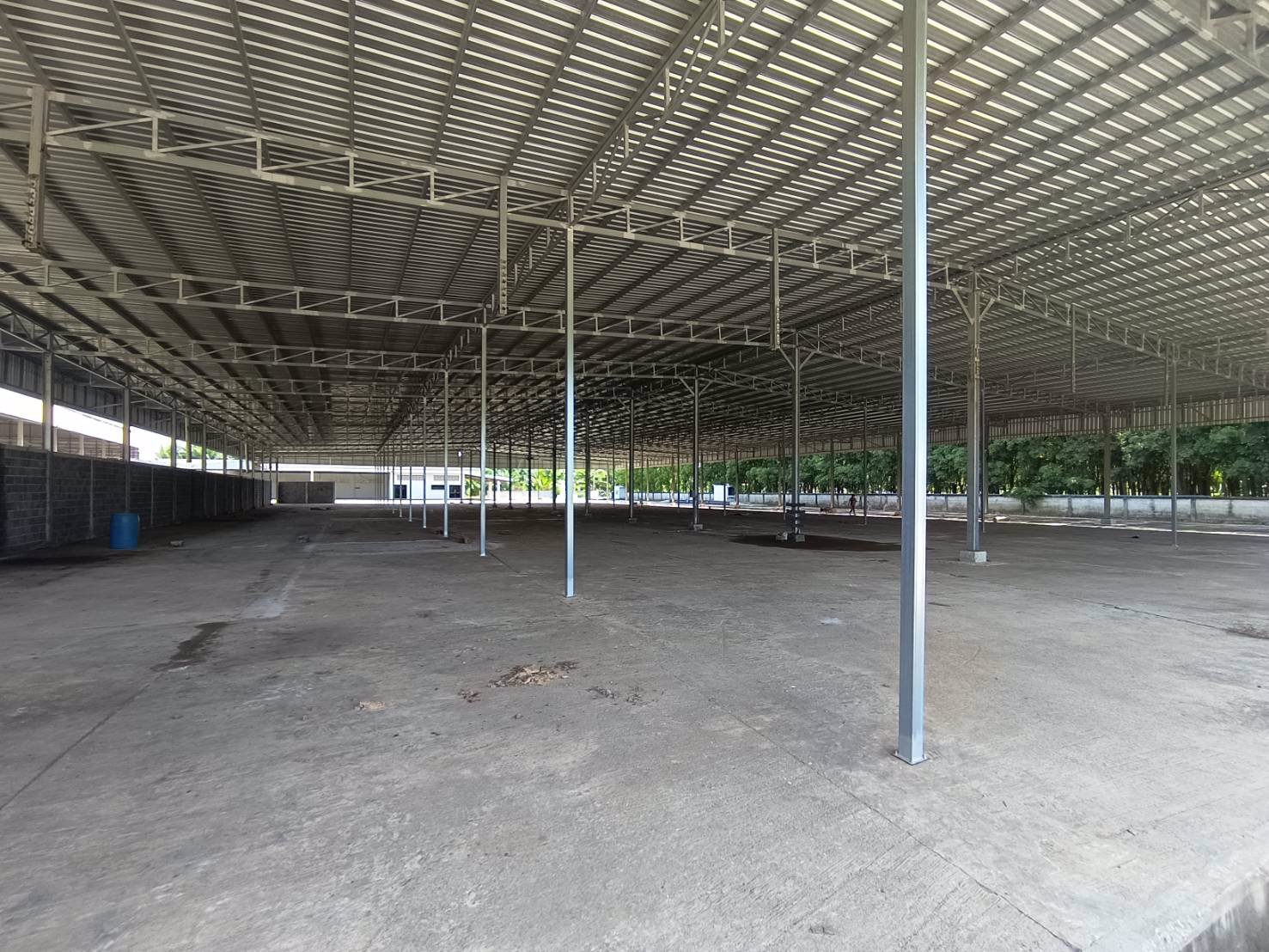 ให้เช่าโกดัง-โรงงาน-ในจังหวัดสุราษฎร์ธานี-บนเนื้อที่-20-ไร่-มีโฉนด-ใกล้-อบตศรีวิชัย