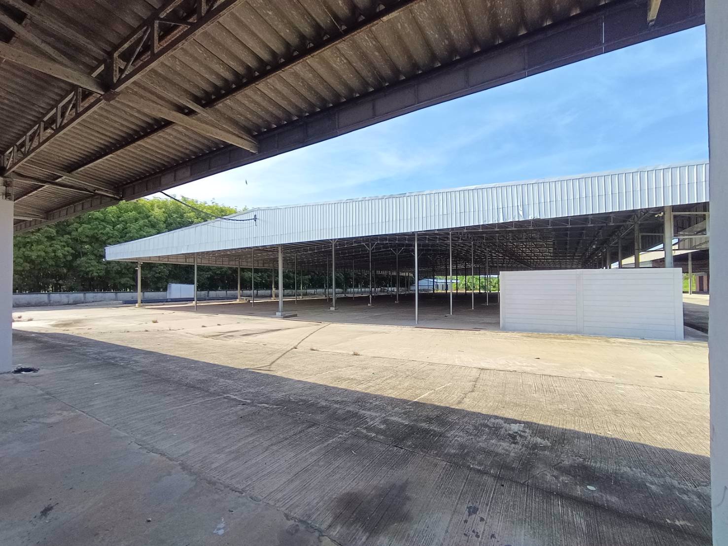 ให้เช่าโกดัง-โรงงาน-ในจังหวัดสุราษฎร์ธานี-บนเนื้อที่-20-ไร่-มีโฉนด-ใกล้-อบตศรีวิชัย