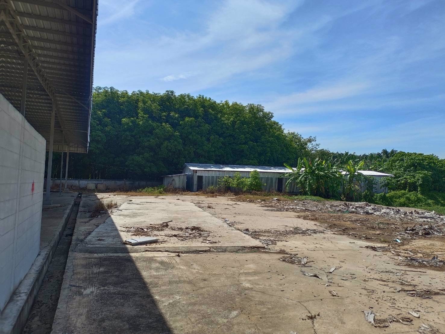 ให้เช่าโกดัง-โรงงาน-ในจังหวัดสุราษฎร์ธานี-บนเนื้อที่-20-ไร่-มีโฉนด-ใกล้-อบตศรีวิชัย