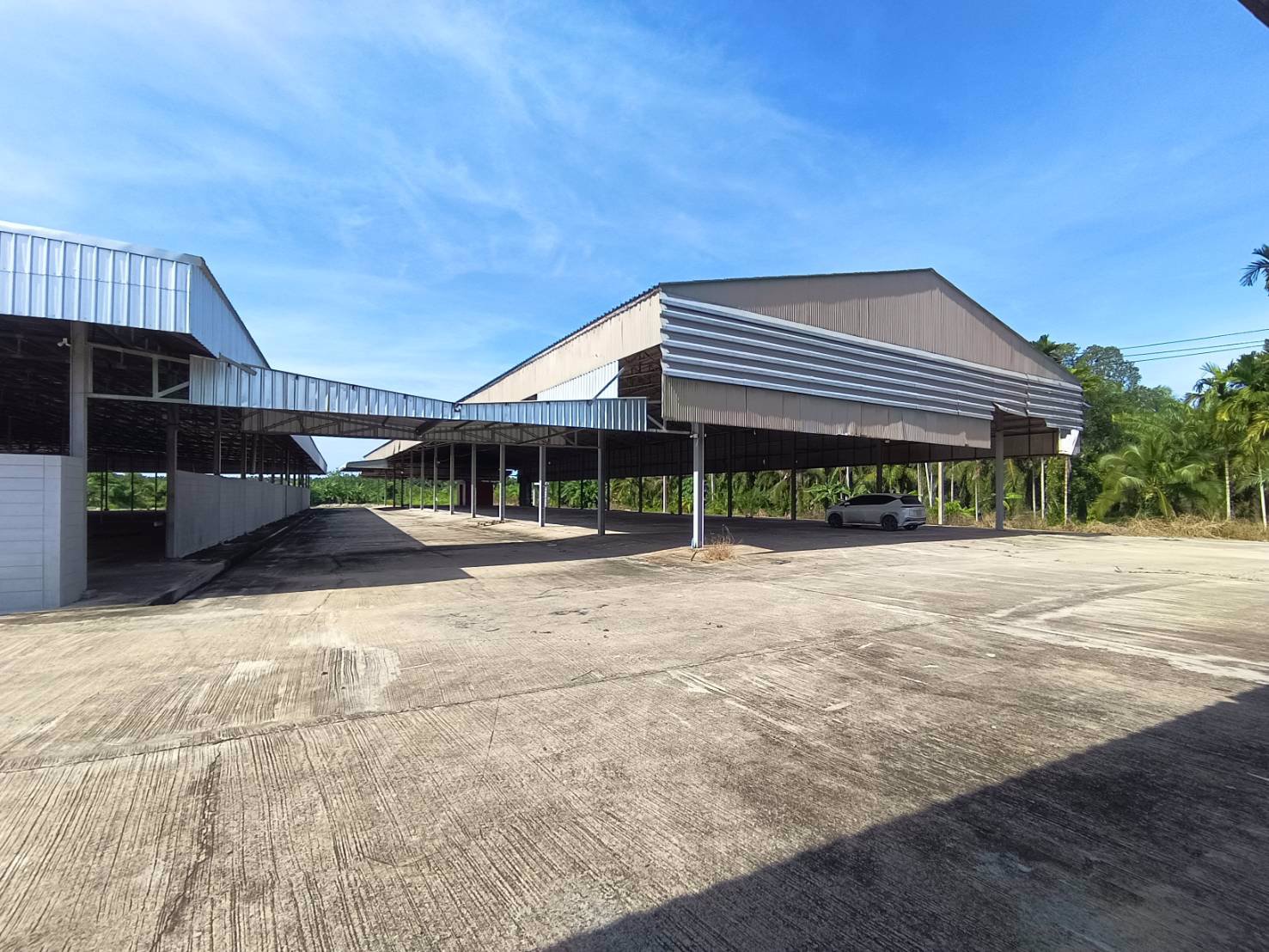 ให้เช่าโกดัง-โรงงาน-ในจังหวัดสุราษฎร์ธานี-บนเนื้อที่-20-ไร่-มีโฉนด-ใกล้-อบตศรีวิชัย