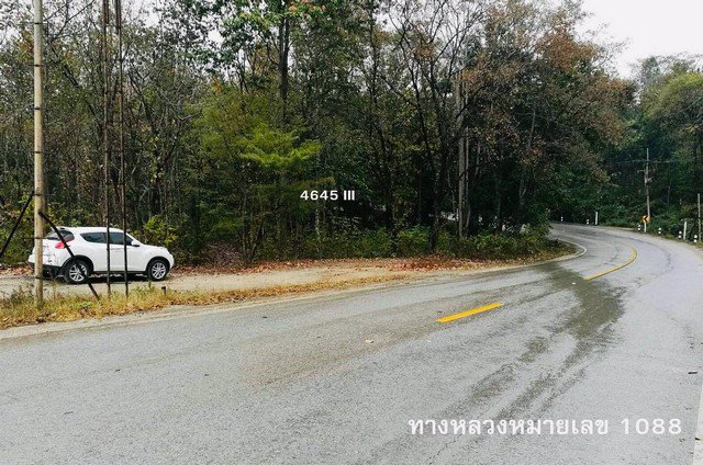 ขายที่ดิน-เมืองฮอด-เชียงใหม่-พื้นที่-42-1-0-ไร่-ใกล้อุทยานแห่งชาติออบหลวง