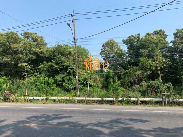 ขายที่ดิน-หนองจอก-21-3-35-ไร่-รูปสี่เหลี่ยมผืนผ้า-ผังสีเขียว-ใกล้ตลาดเก่า100ปีคลอง12