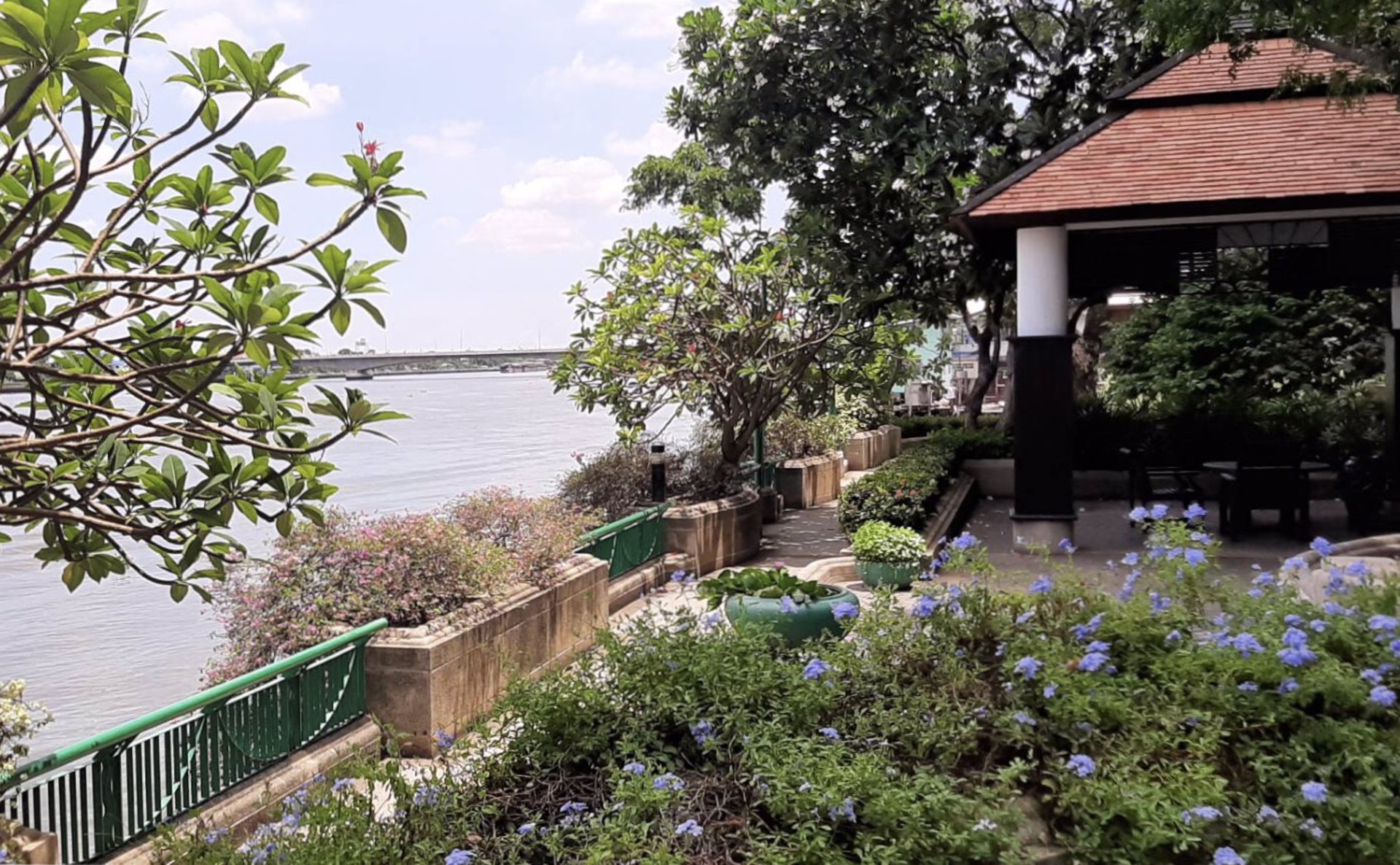 ขายด่วน-riverine-place-condo-river-view-คอนโด-ริมฝั่งเจ้าพระยา-เงียบร่มรื่นธรรมชาติที่สุดในโซนนี้