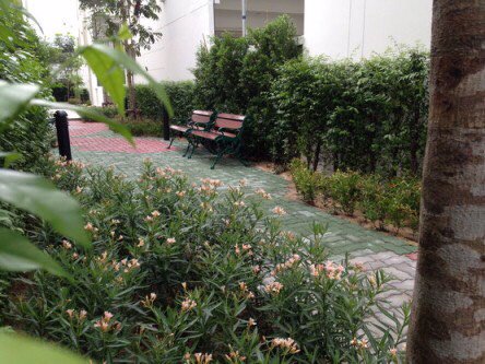 ให้เช่า-ลุมพินี-ทาวน์-เรสซิเดนซ์-ลาดพร้าวสเตชั่น-ซลาดพร้าว-21-ใกล้-mrt-ลาดพร้าว