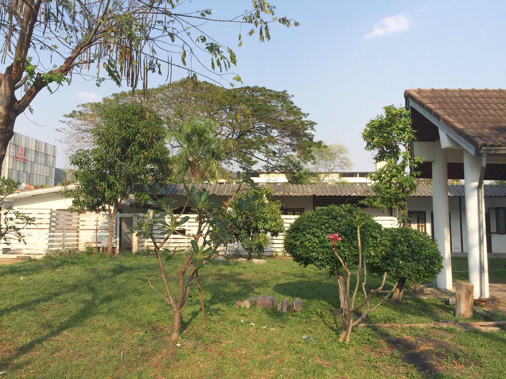 ให้เช่าบ้านพร้อมสวนสวยสุขุมวิท-101-ปุณณวิถี-12-เดิน-500-เมตรจาก-bts-ปุณณวิถี-