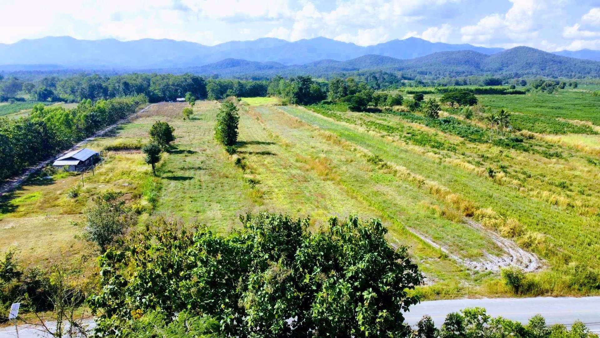 ที่โฉนด-อเมือง-ลำปาง-ไร่ละ-186960