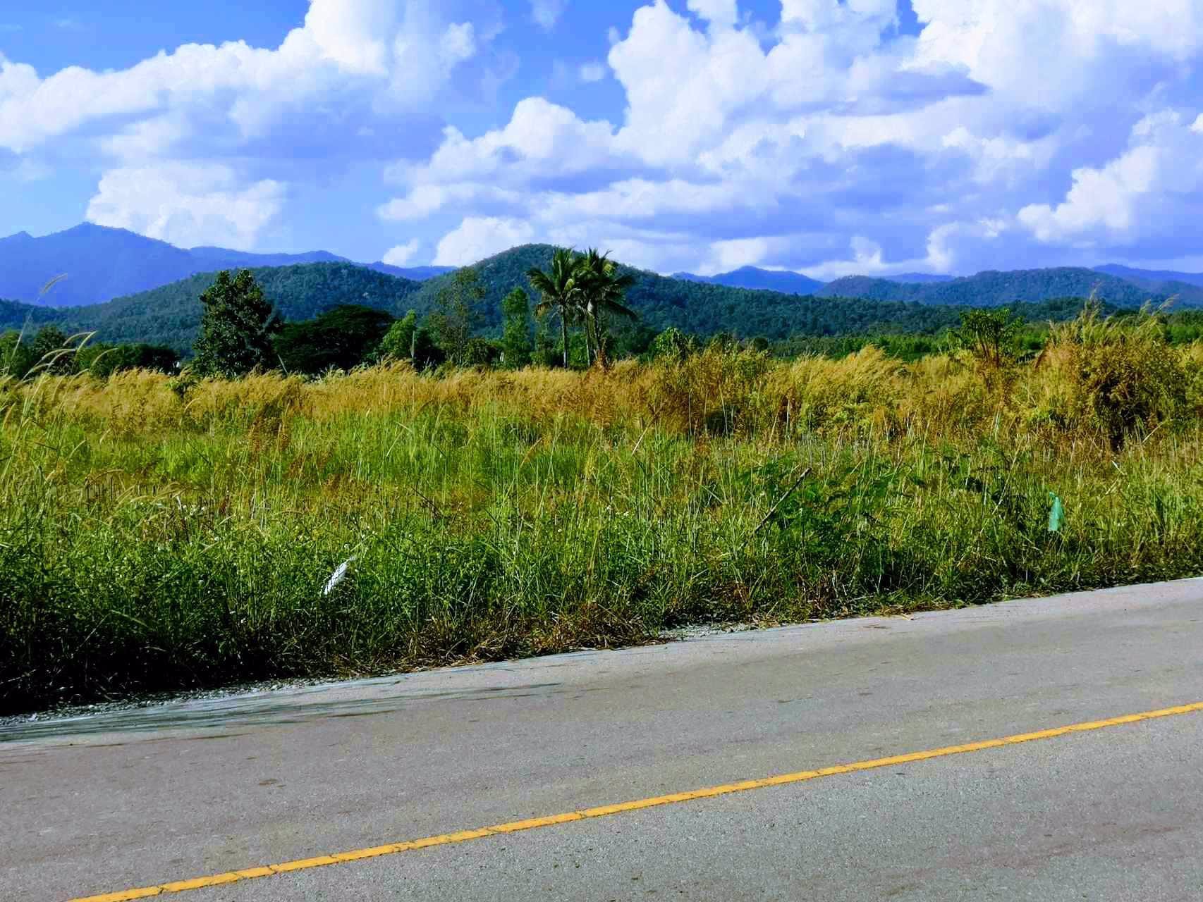 ที่โฉนด-อเมือง-ลำปาง-ไร่ละ-186960