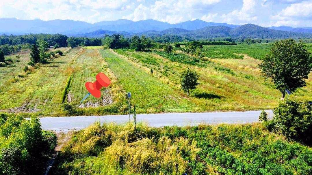 ที่โฉนด-อเมือง-ลำปาง-ไร่ละ-186960