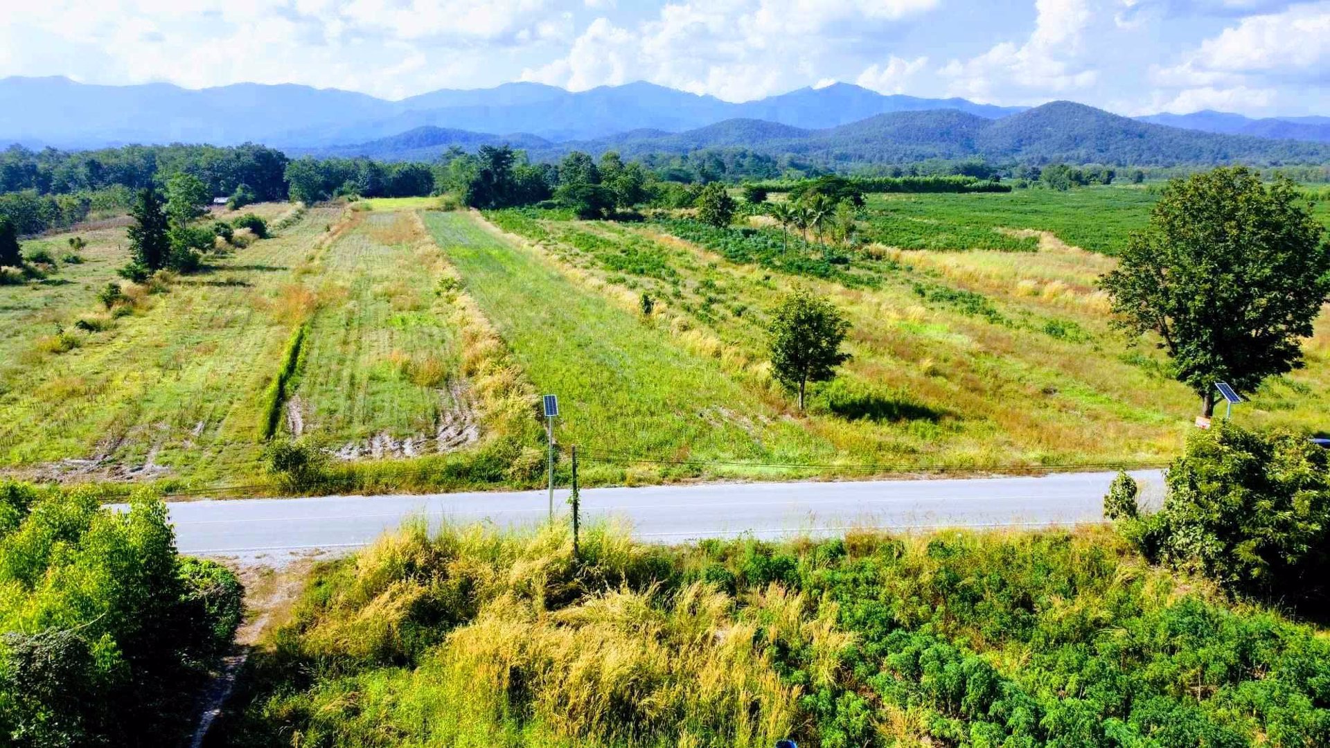 ที่โฉนด-อเมือง-ลำปาง-ไร่ละ-186960