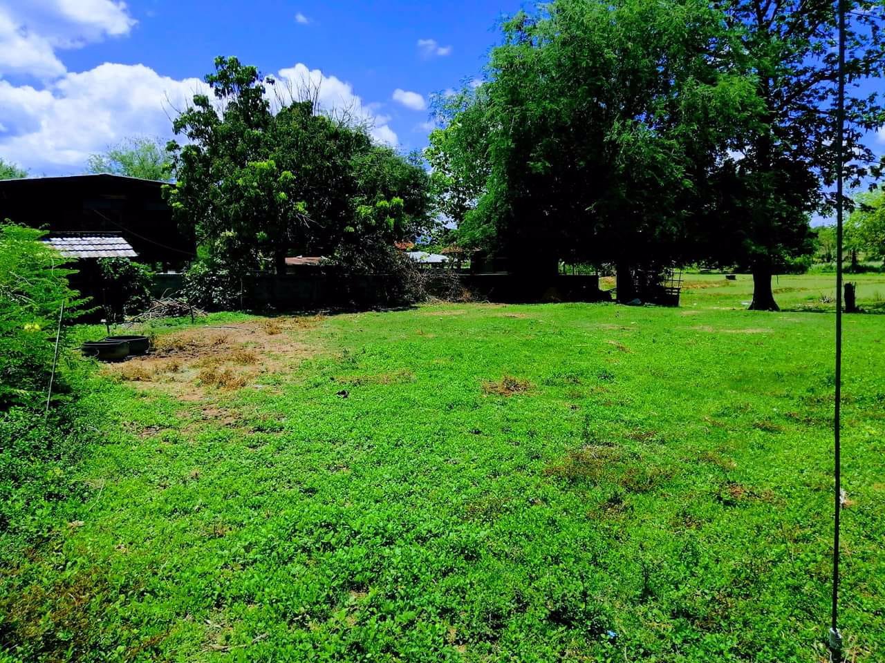 ถูกที่สุดในย่านราคานี้หายากแล้วแค่หลักร้อยต่อตารางวา