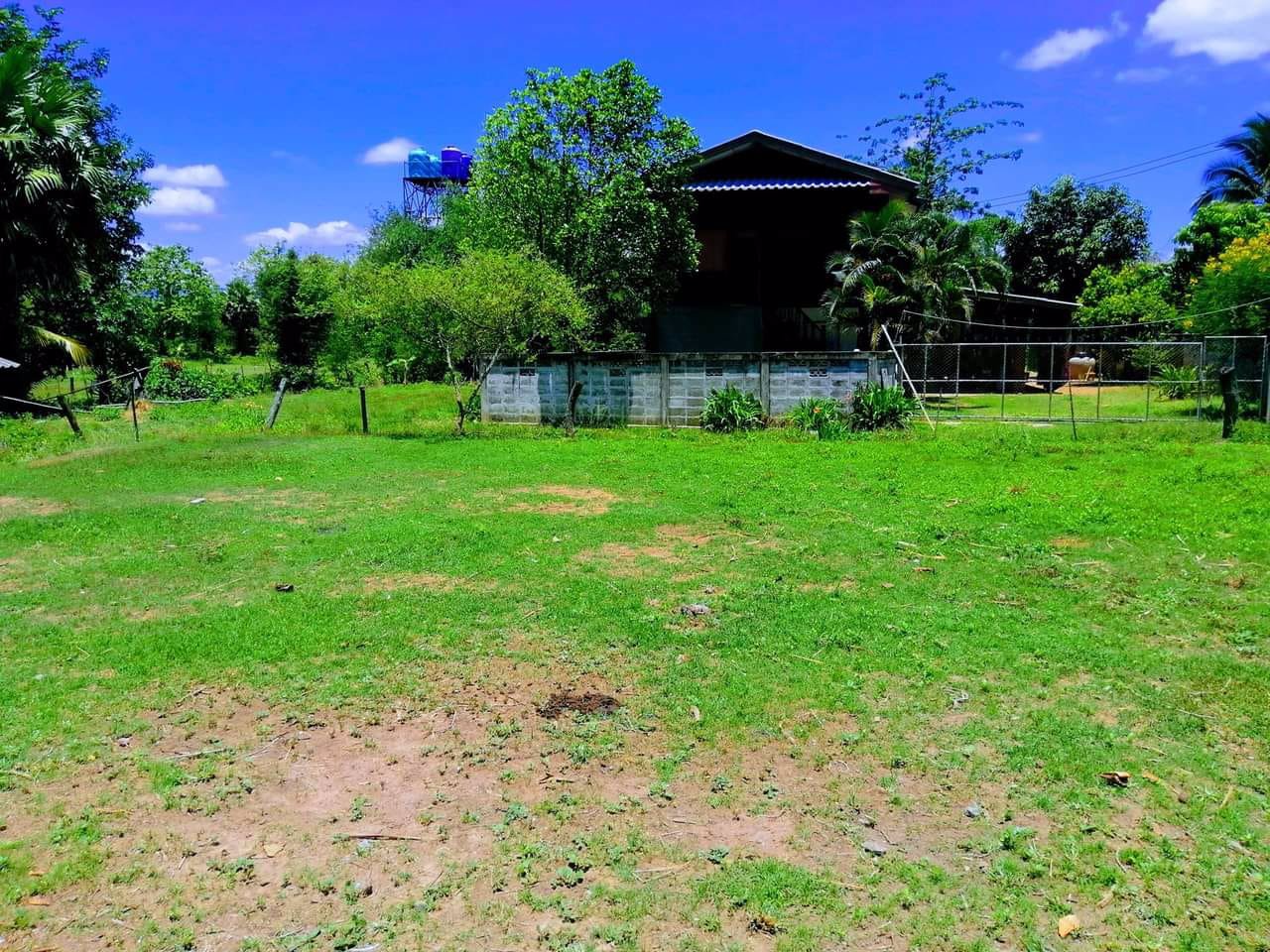 ถูกที่สุดในย่านราคานี้หายากแล้วแค่หลักร้อยต่อตารางวา