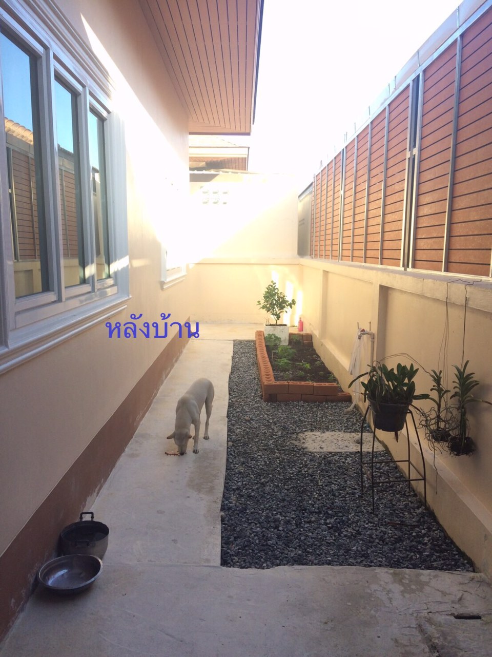 ขายบ้านเดี่ยว70ตรม-พฤกษามหานคร-บ้านบึง-หนองชาก-ชลบุรี