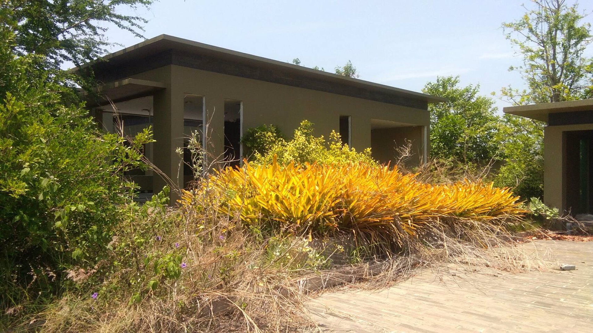 ขายที่ดินพร้อมสิ่งปลูกสร้าง-ติดถนนเพชรเกษม