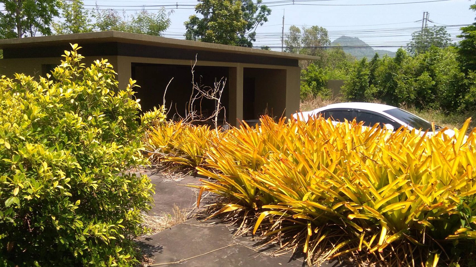 ขายที่ดินพร้อมสิ่งปลูกสร้าง-ติดถนนเพชรเกษม