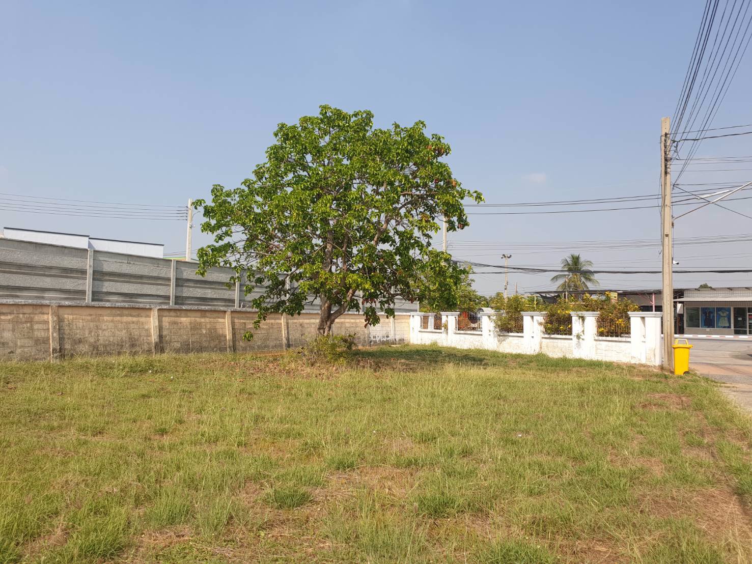 ขายที่ดินจัดสรร-ถูก-มสินสิริ-767ตรว-840000บ-ติดถโยธาธิการ-นนทบุรี-2029-บางบัวทอง