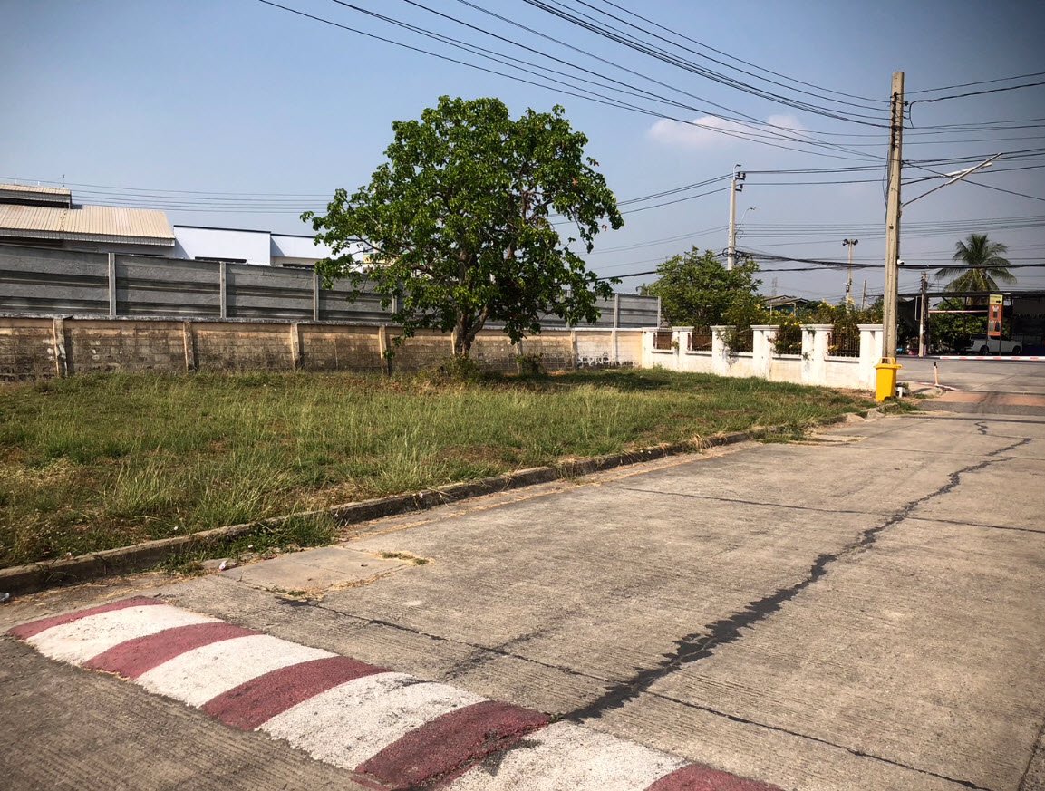 ขายที่ดินจัดสรร-ถูก-มสินสิริ-767ตรว-840000บ-ติดถโยธาธิการ-นนทบุรี-2029-บางบัวทอง