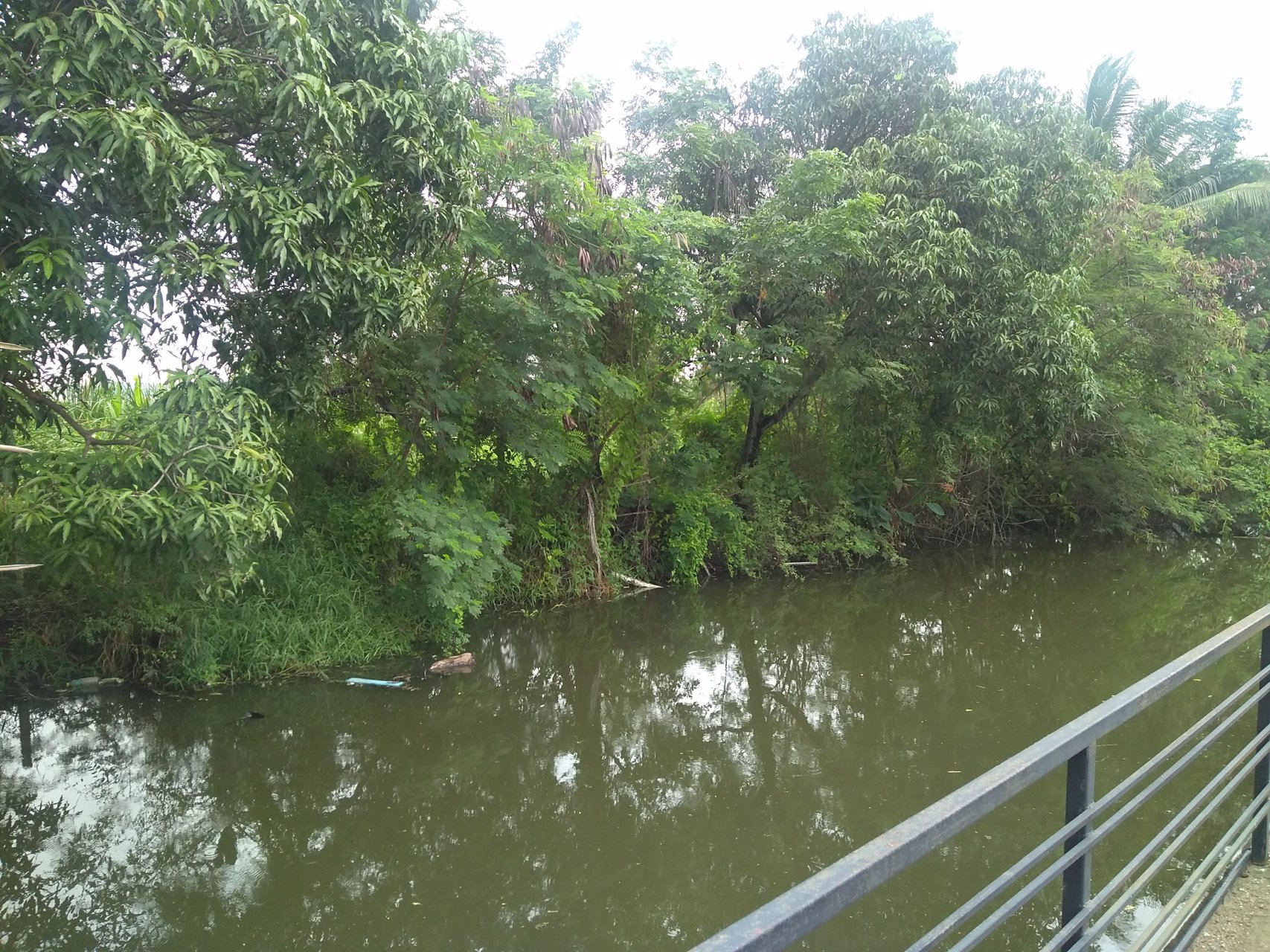 ที่ดิน-6-ไร่ในสวนหลวง-กระทุ่มแบน-สมุทรสาคร