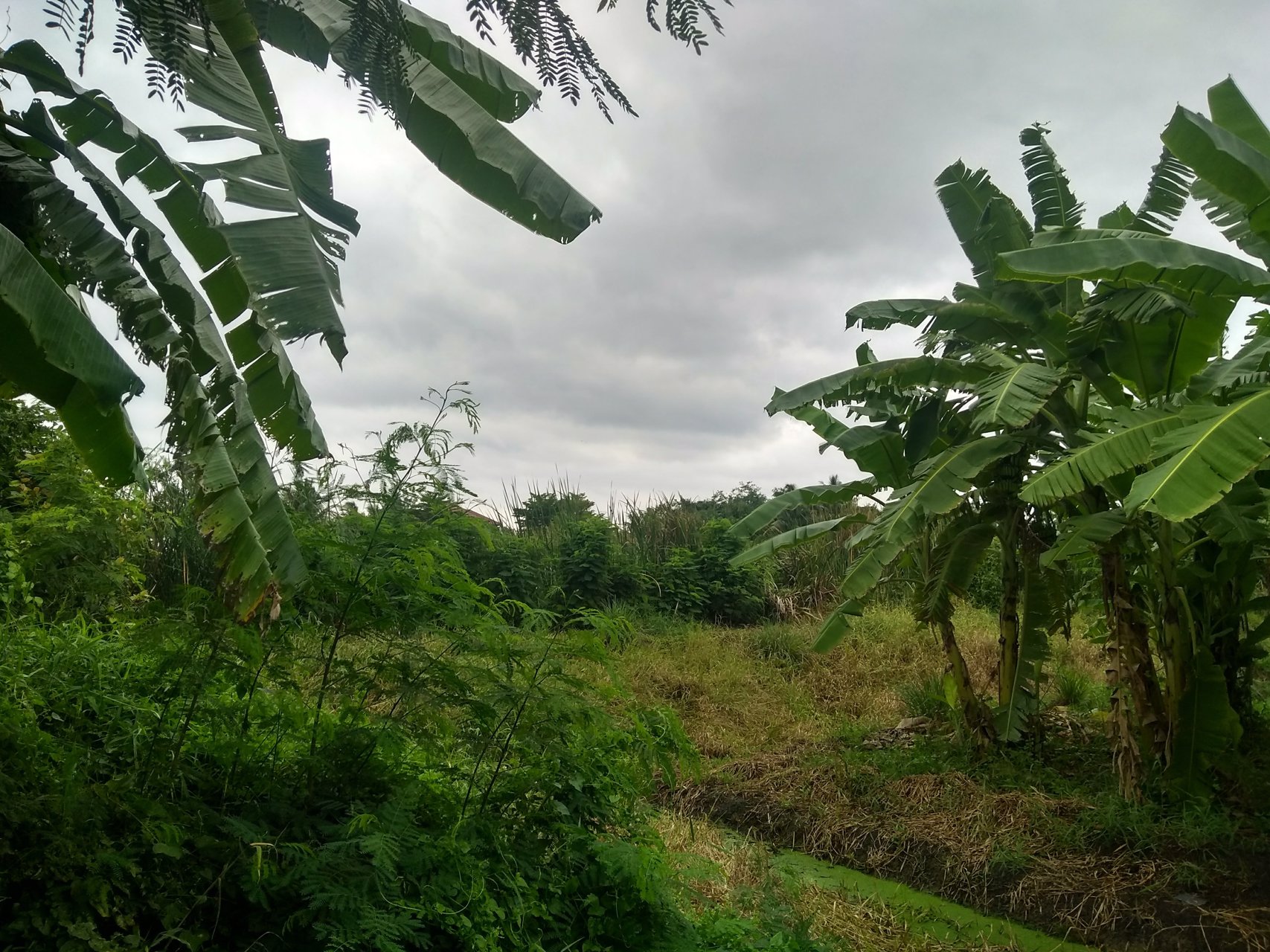 ที่ดิน-6-ไร่ในสวนหลวง-กระทุ่มแบน-สมุทรสาคร