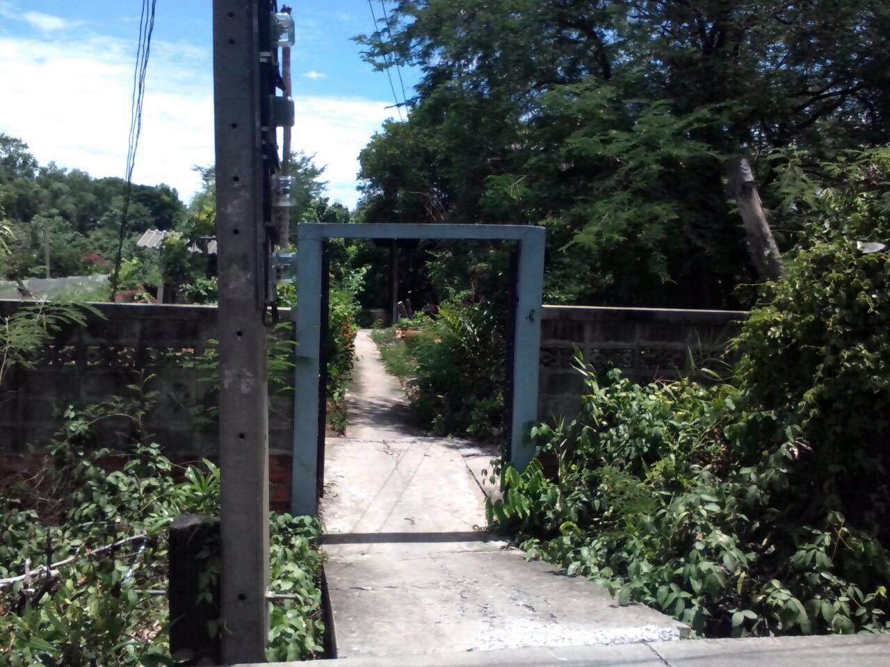 ขายที่ดิน-บางหัวเสือ-พระประแดง-ติดคลองบางฝ้าย-ซอยสำโรงใต้13