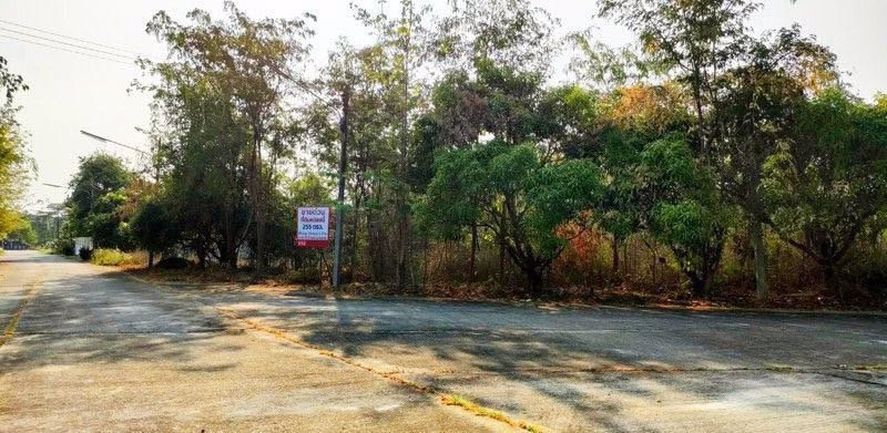 ขายที่ดิน-255-ตรว-ในหมู่บ้านสวนเกษตรโชคทวี-ราคาถูก-เจ้าของขายเอง