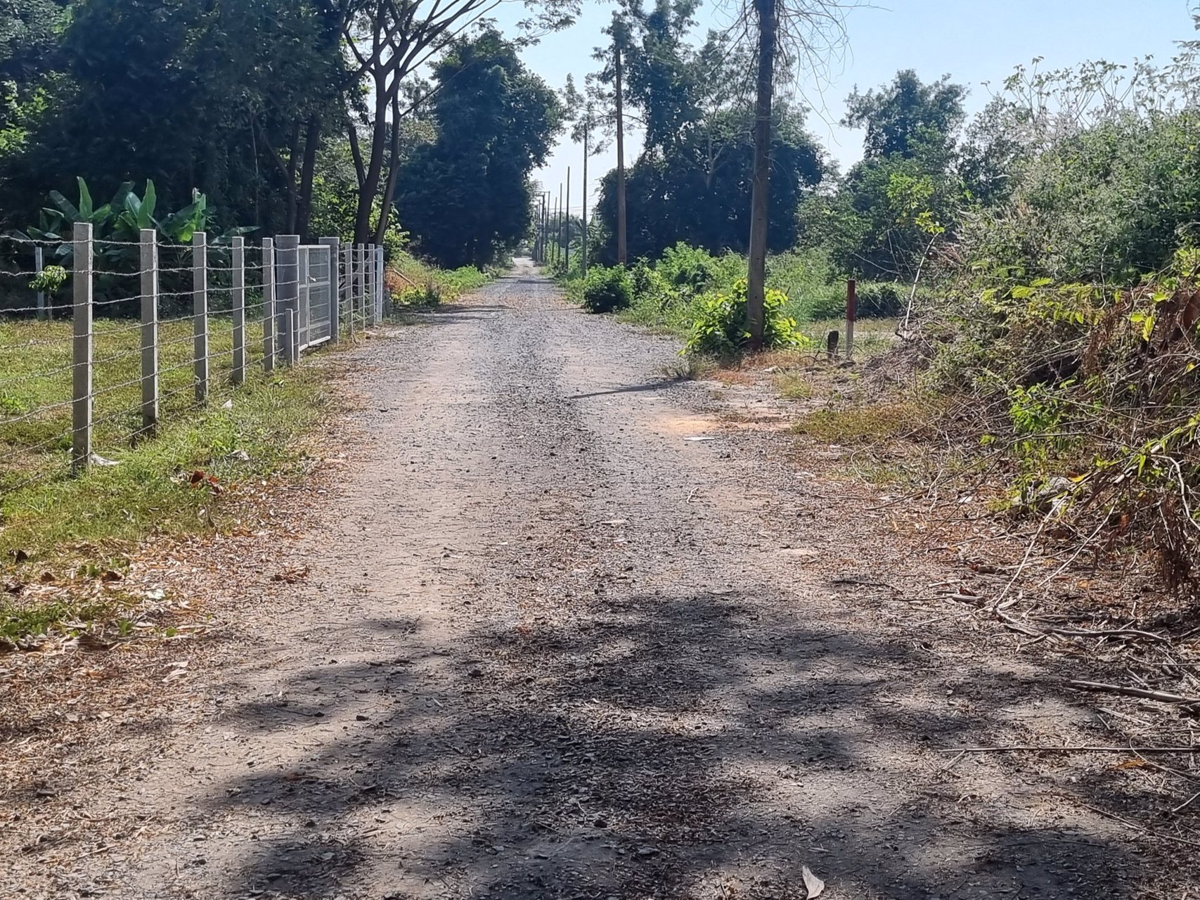 ขายที่-นครนายก-พรหมณี-ตรงแยกช้าง-ห่างที่-100-เมตร-ที่เจริญมาก-ใจกลางเมือง