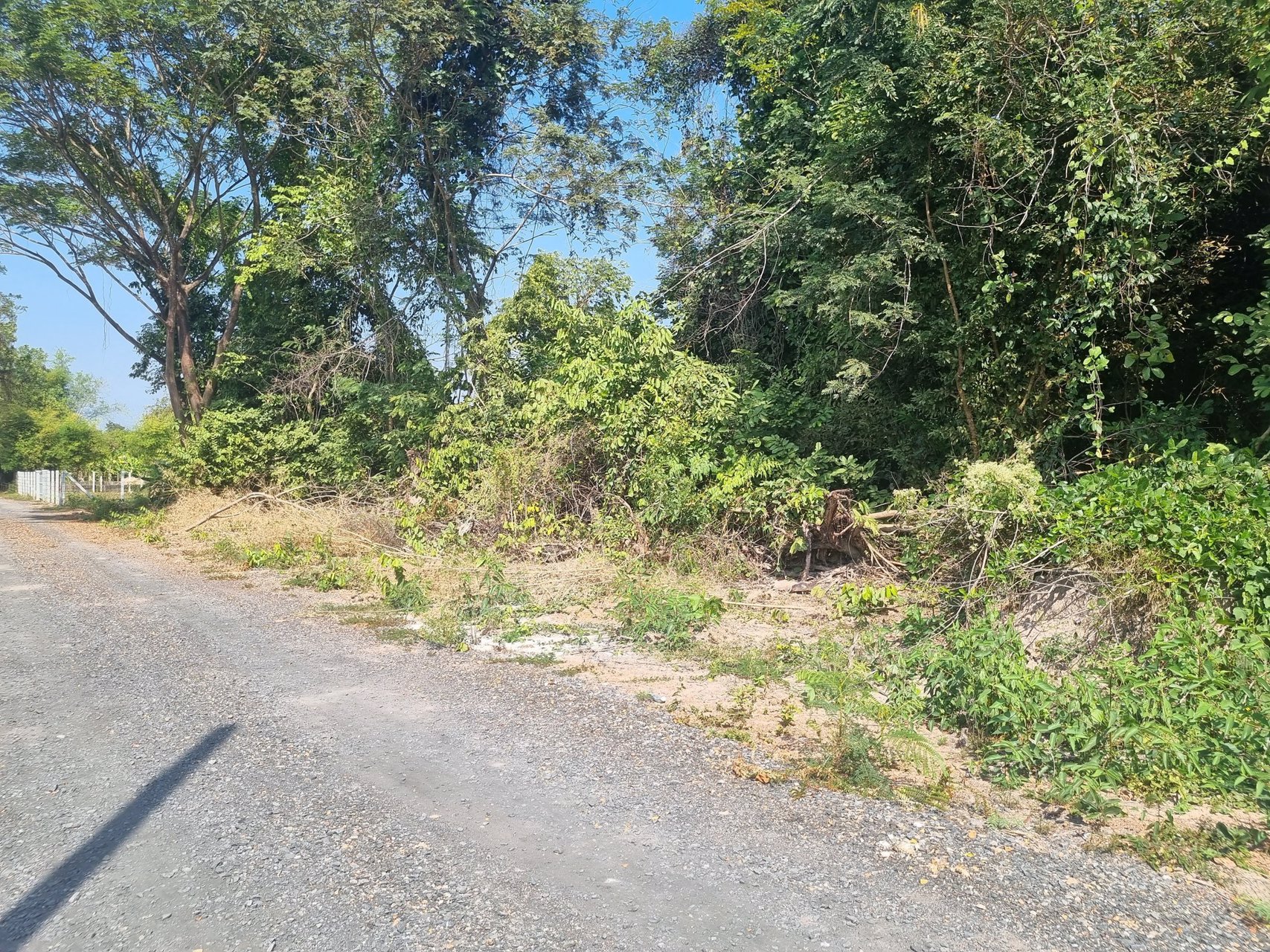 ขายที่-นครนายก-พรหมณี-ตรงแยกช้าง-ห่างที่-100-เมตร-ที่เจริญมาก-ใจกลางเมือง