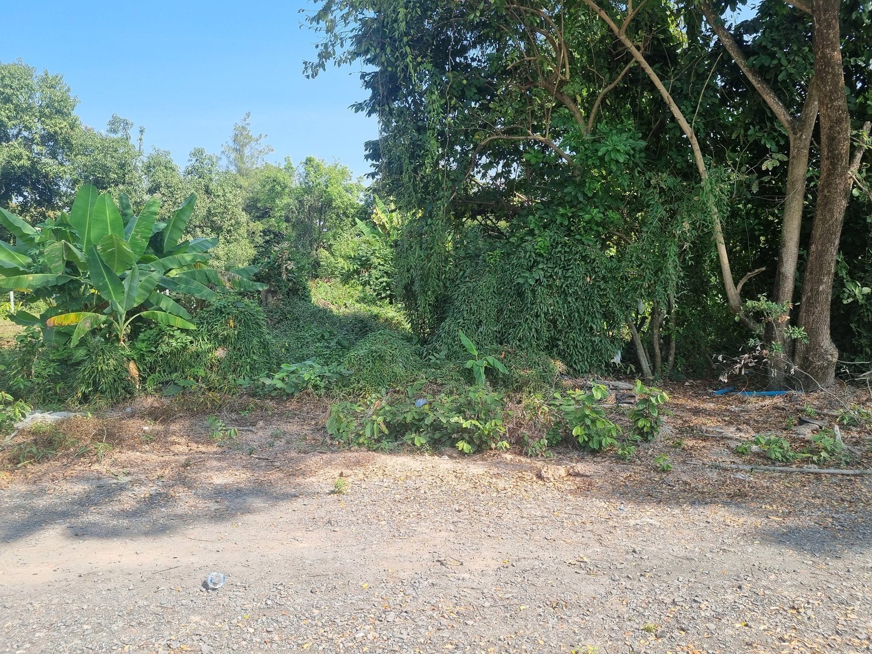 ขายที่-นครนายก-พรหมณี-ตรงแยกช้าง-ห่างที่-100-เมตร-ที่เจริญมาก-ใจกลางเมือง