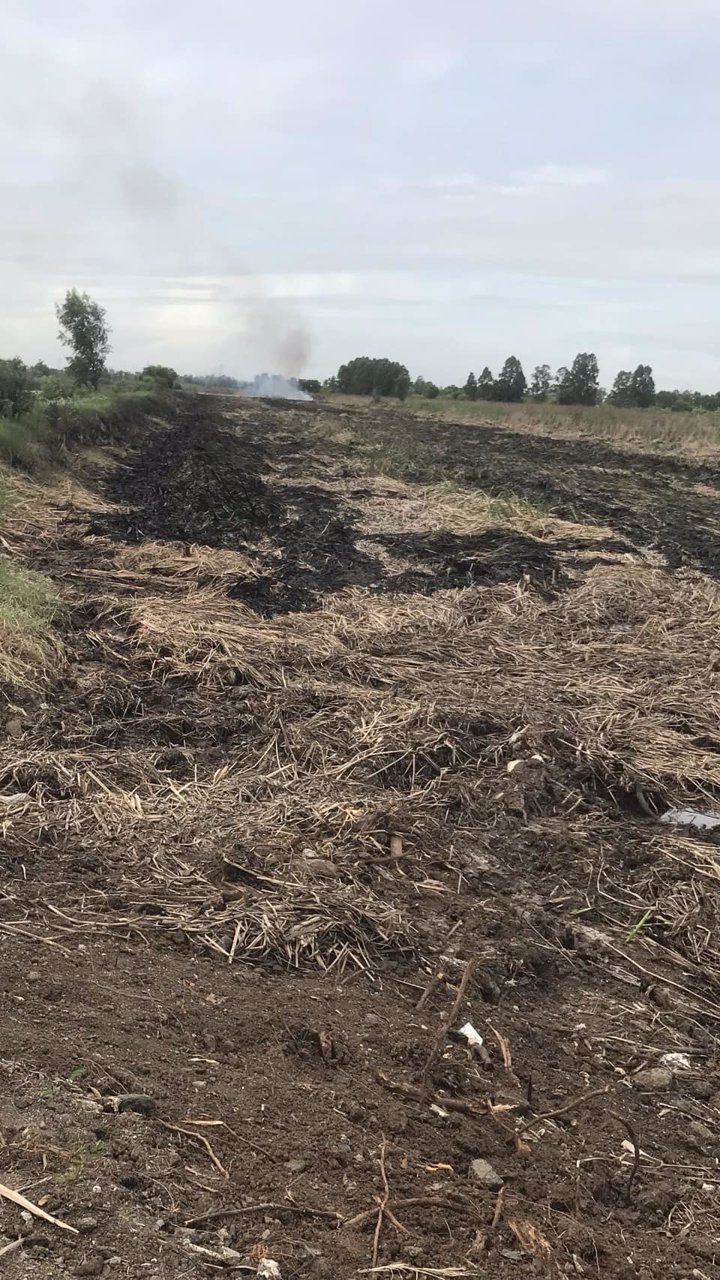 ขายที่ดิน-วังน้อย-อยุธยา-สร้างโรงงานได้