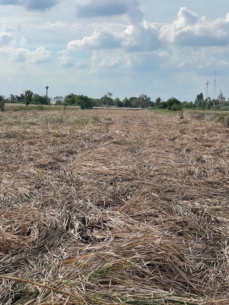 ขายที่ดิน-วังน้อย-อยุธยา-สร้างโรงงานได้