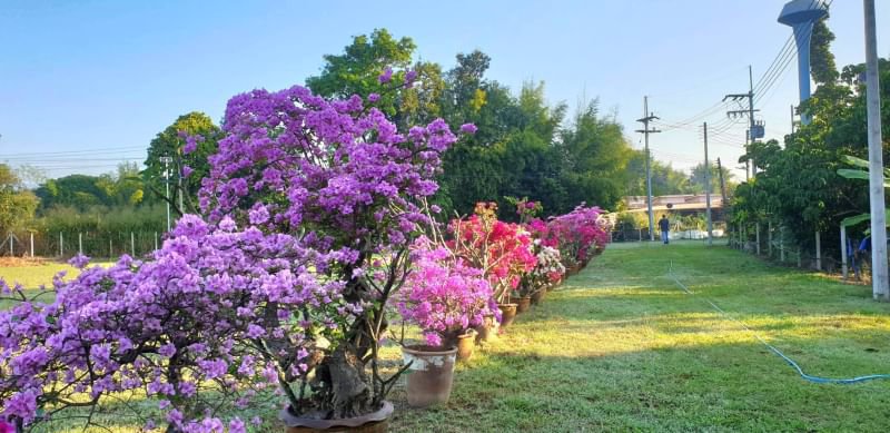 ขายโครงการเวลเนสและมูลนิธิที่จัดตั้งขึ้นแล้วเพื่อดำเนินกิจการต่อทางด้านสุขภาพและความเป็นอยู่ที่ดีแล