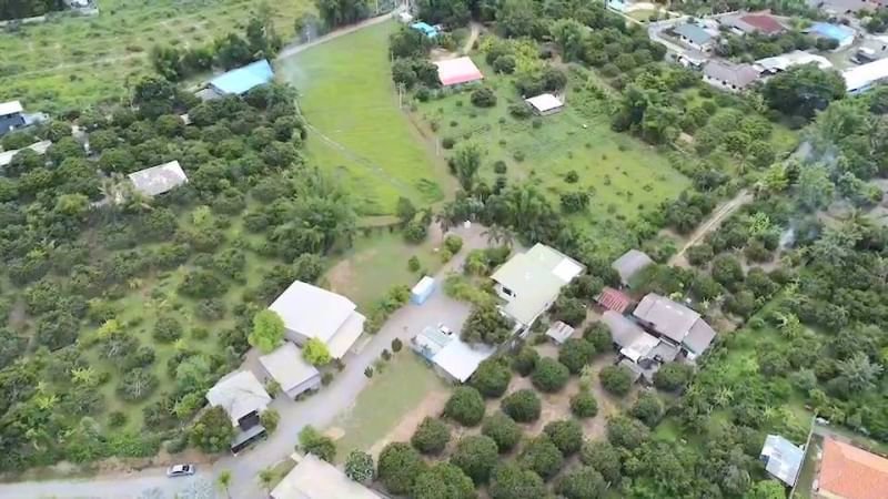 ขายโครงการเวลเนสและมูลนิธิที่จัดตั้งขึ้นแล้วเพื่อดำเนินกิจการต่อทางด้านสุขภาพและความเป็นอยู่ที่ดีแล