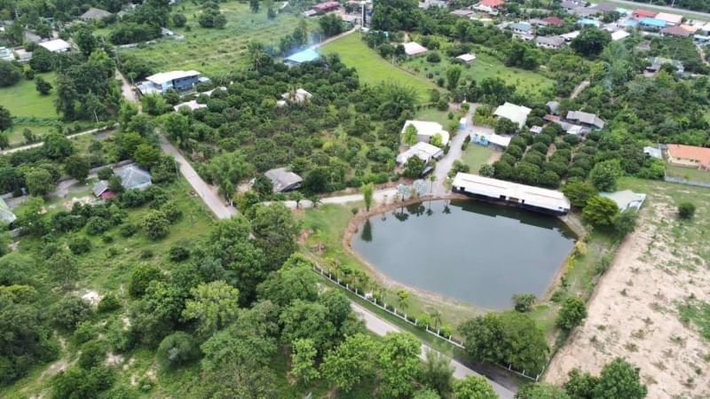 ขายโครงการเวลเนสและมูลนิธิที่จัดตั้งขึ้นแล้วเพื่อดำเนินกิจการต่อทางด้านสุขภาพและความเป็นอยู่ที่ดีแล