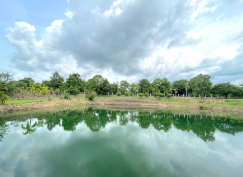 ขายโครงการเวลเนสและมูลนิธิที่จัดตั้งขึ้นแล้วเพื่อดำเนินกิจการต่อทางด้านสุขภาพและความเป็นอยู่ที่ดีแล