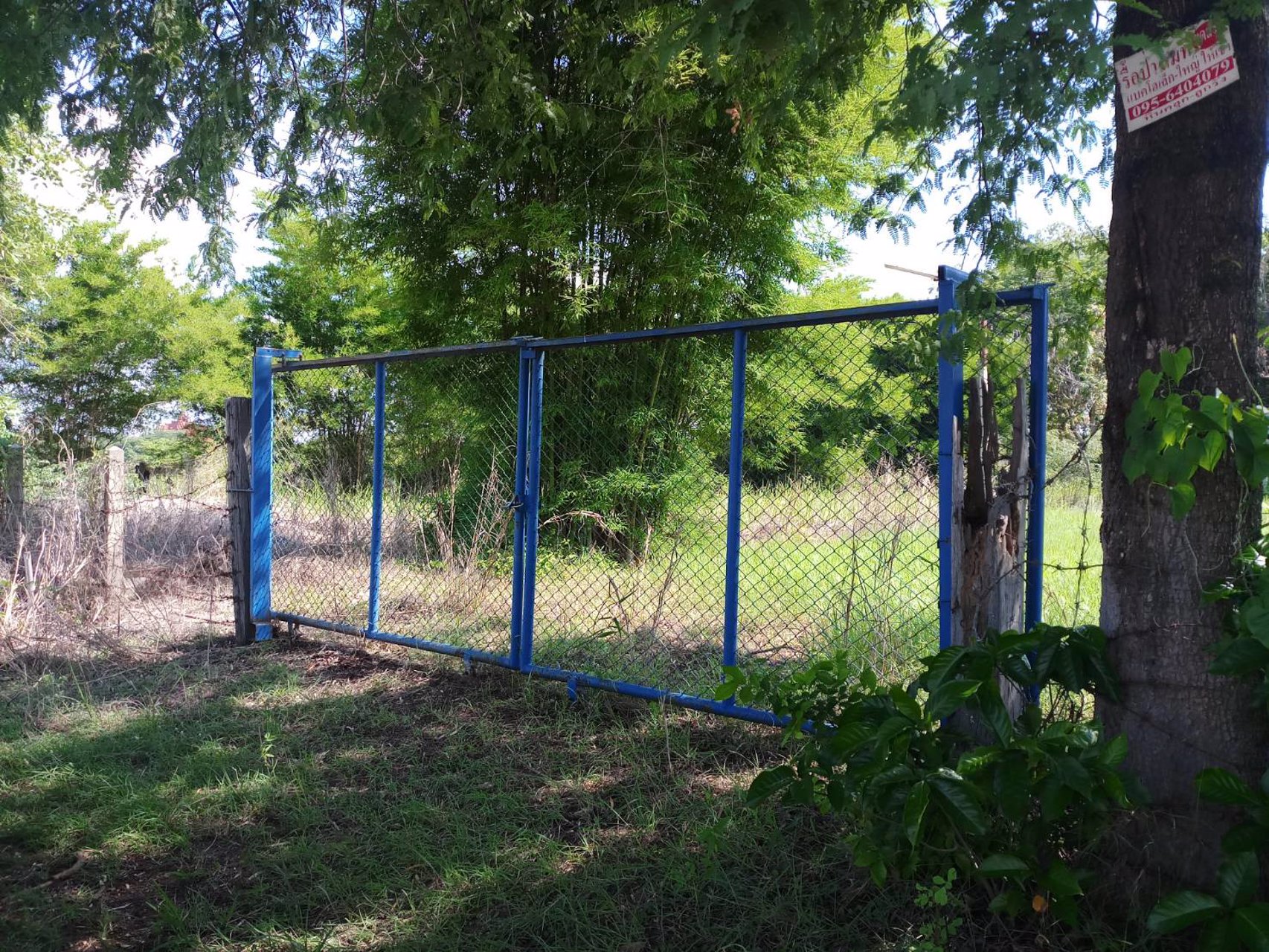 ขายที่ดิน-ใกล้ถนนเลี่ยงเมือง-บ้านผือ