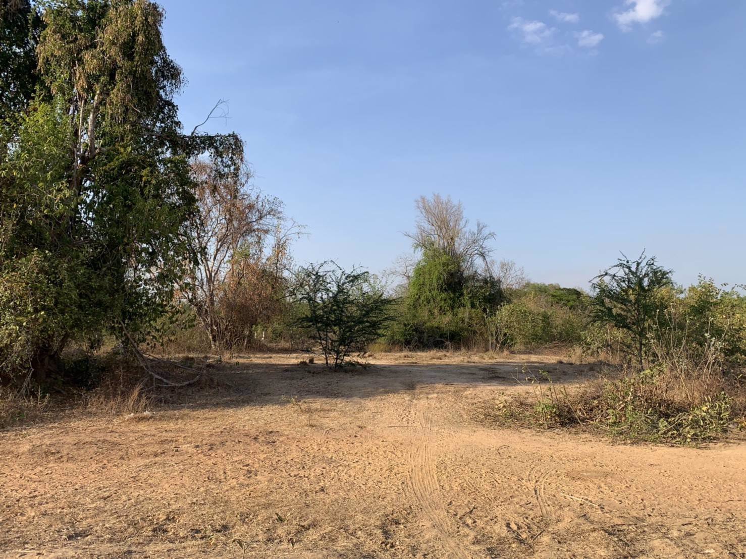 ขายที่ดิน-2-งาน-ใกล้ตลาดโนนทัน