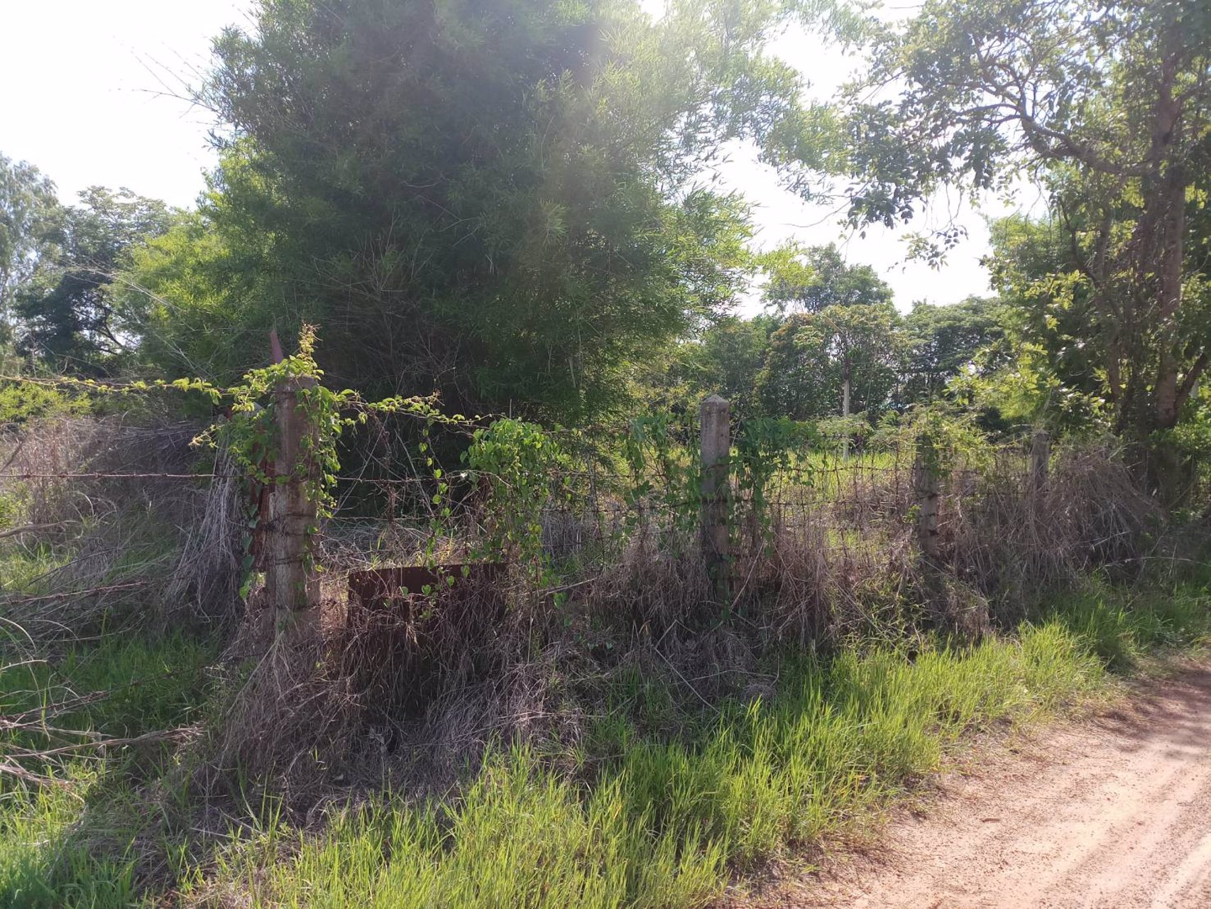 ี่ขายที่ดิน-บ้านผือ-ใกล้ถนนเลี่ยงเมือง-บิ๊กซี-2